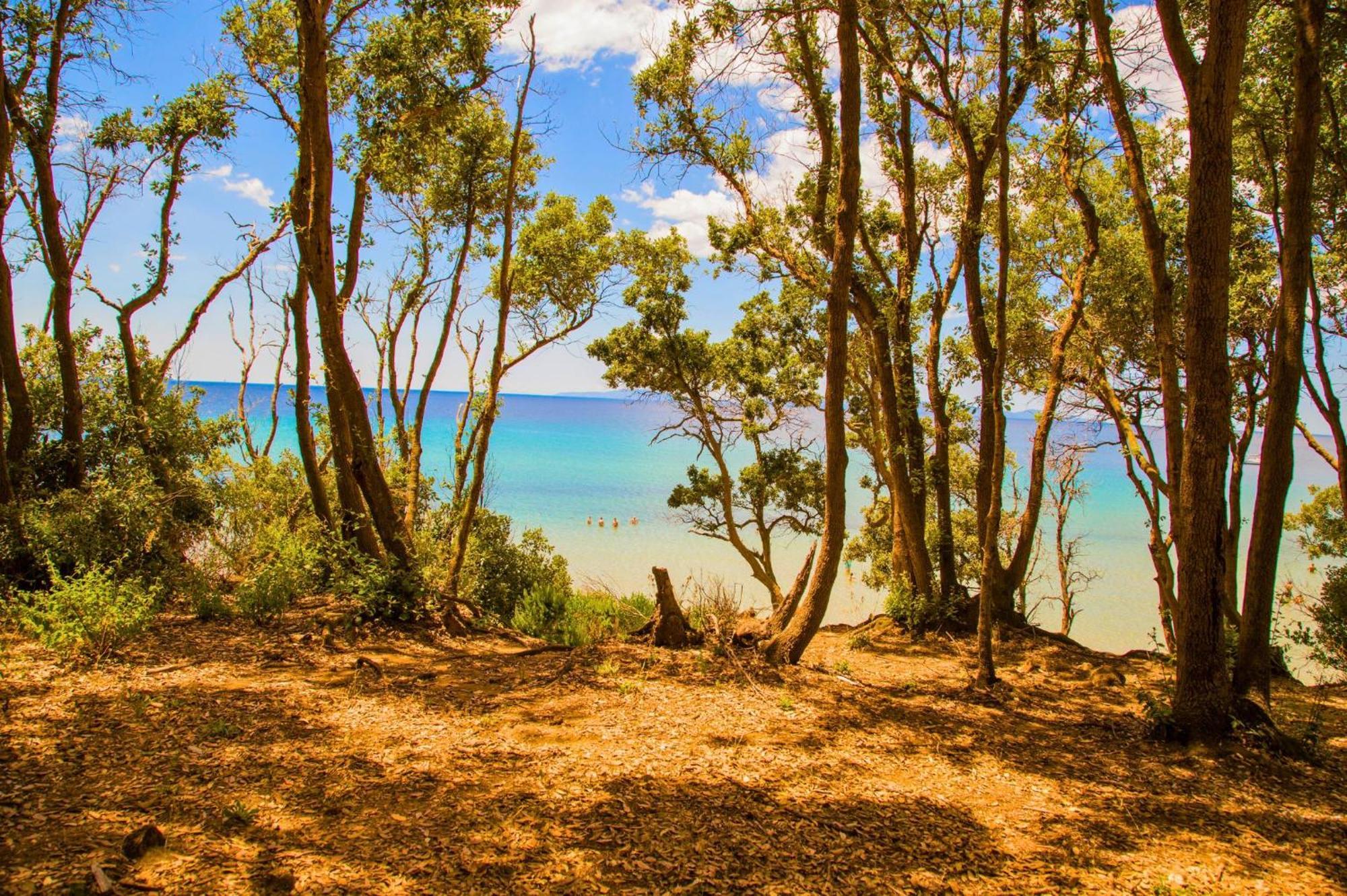 Oasimaremma Village Scarlino Εξωτερικό φωτογραφία
